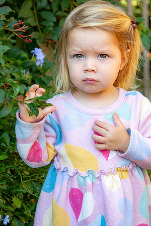 IMG_9650 copy