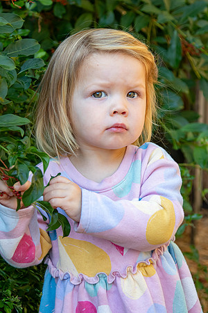 IMG_9653 copy