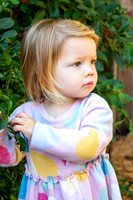 IMG_9652 copy