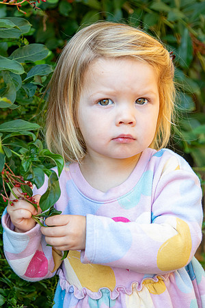 IMG_9654 copy