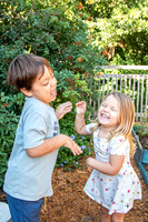 IMG_9112 copy