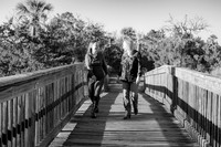 IMG_0399